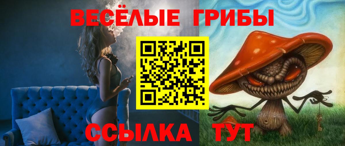 Псилоцибиновые грибы мицелий Нижний Новгород